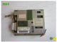 Monitores do Lcd da categoria médica do NEC NL3224AC35-06, tela do Lcd da substituição 5,5 polegadas