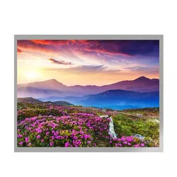 MVA 10,4 módulo de TFT LCD da relação da exposição G104X1-L04 LVDS de TFT LCD da polegada