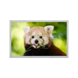 12,1 painel 800*600 G121S1-L02 REV C4 da polegada AUO LCD/exposição do REV C6 TFT LCD módulo