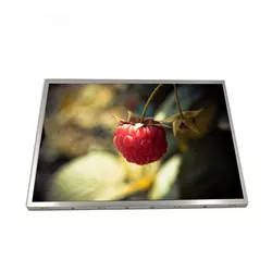 Módulo de TFT LCD das lêndeas da polegada 800x600 500 do painel 12,1 de G121SN01 V403 AUO LCD